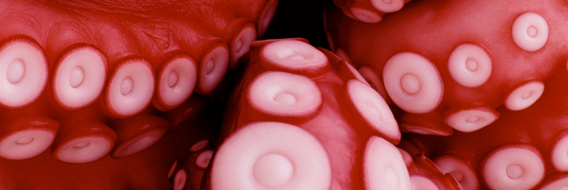 Playa de Osmo / gastronomia - pulpo