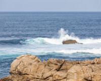 Olas rompiendo contra las rocas.